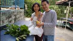 20131124 Organic Farm46
